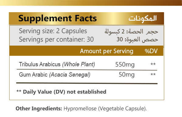 Tribulus Arabicus – 60 Capsules – 600mg
